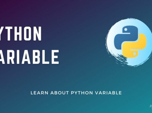 Python Variable